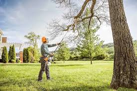 Seasonal Cleanup in Elwood, UT